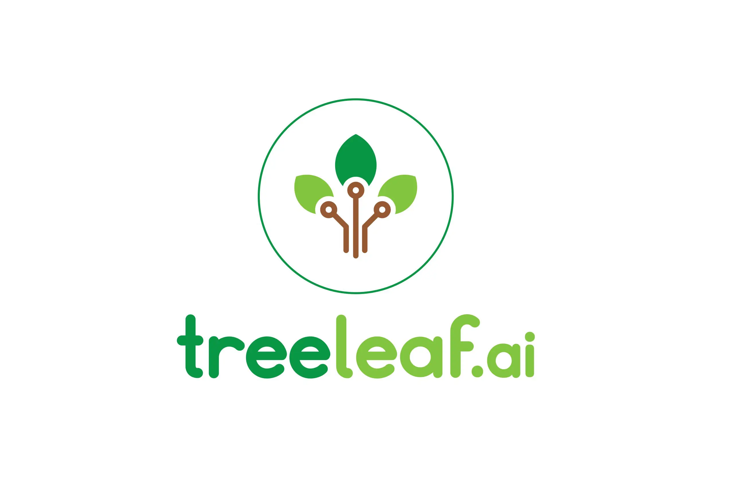 100% Placement Support