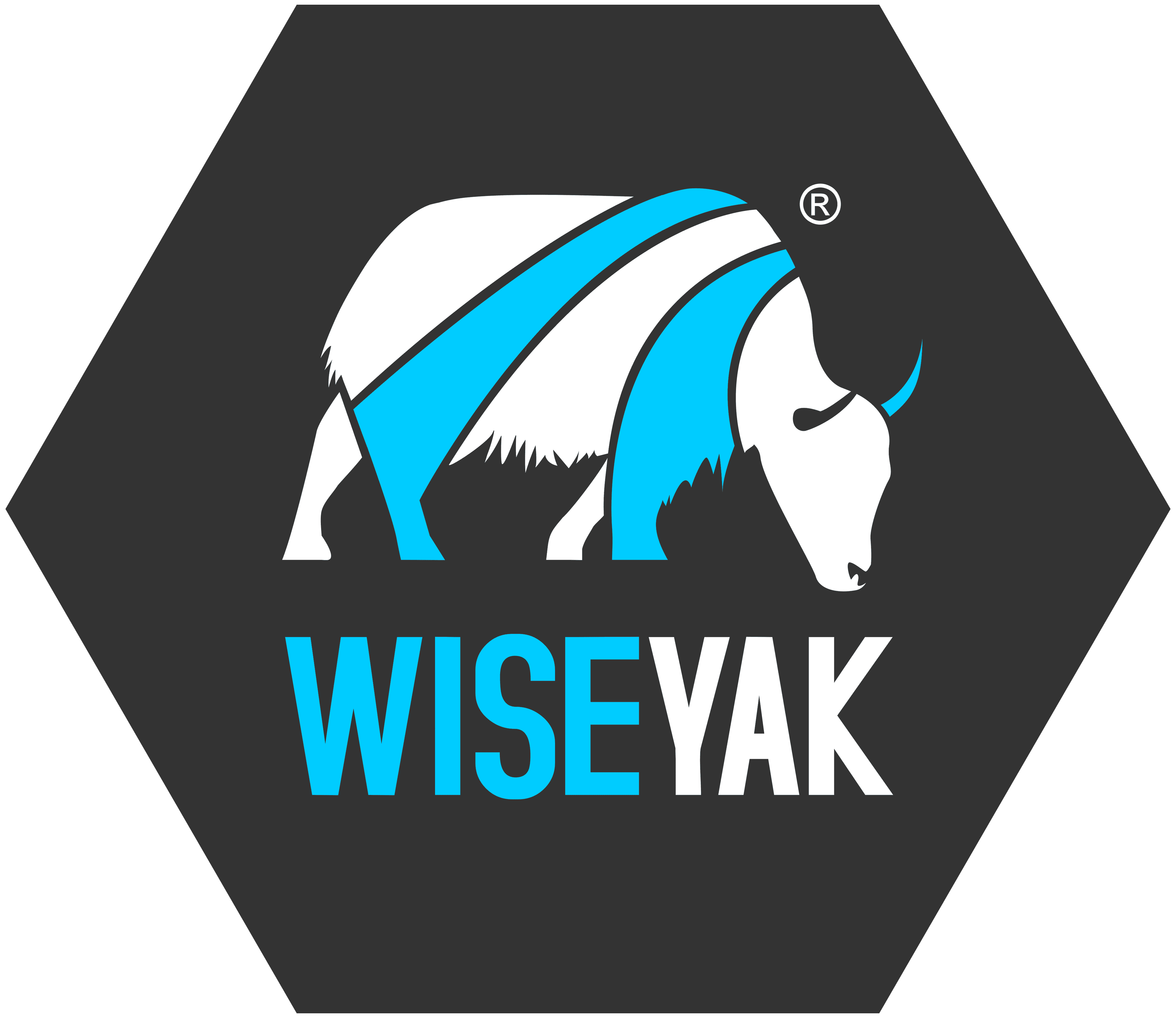 100% Placement Support